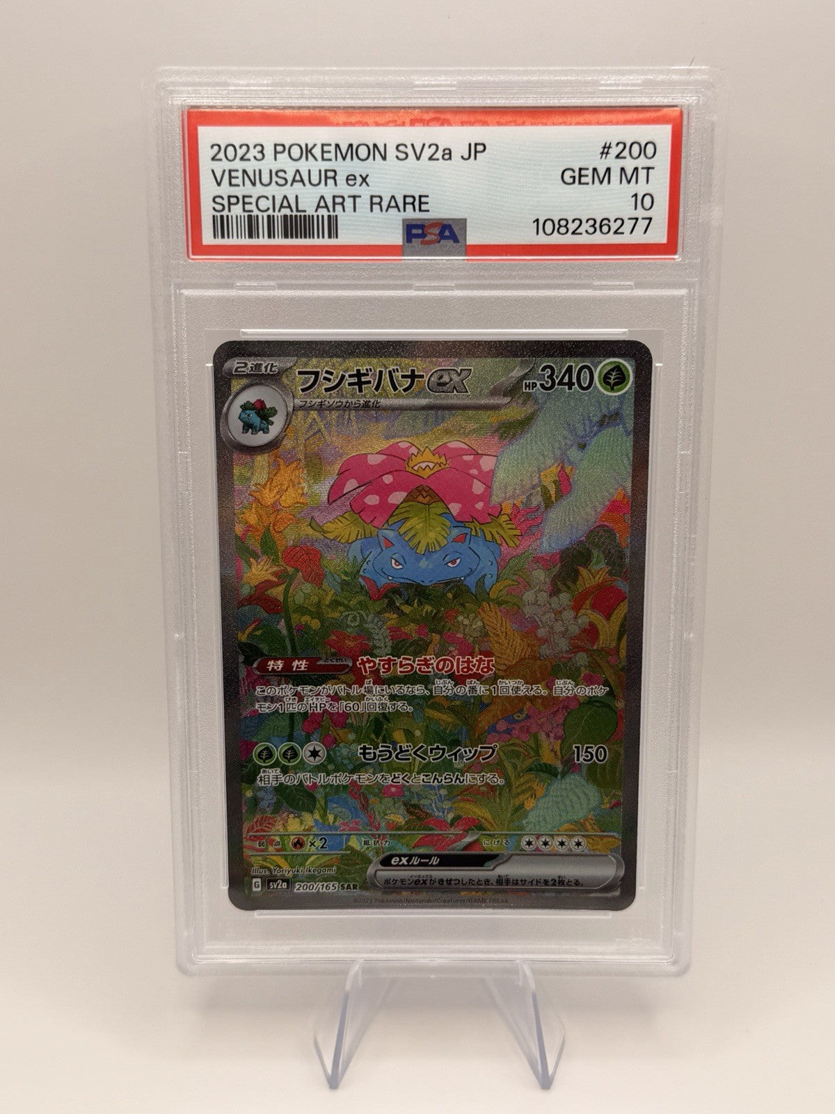 Pokemon Japanese 151 PSA 10 Complete Starter Evolution Set 9 Slabs Charizard