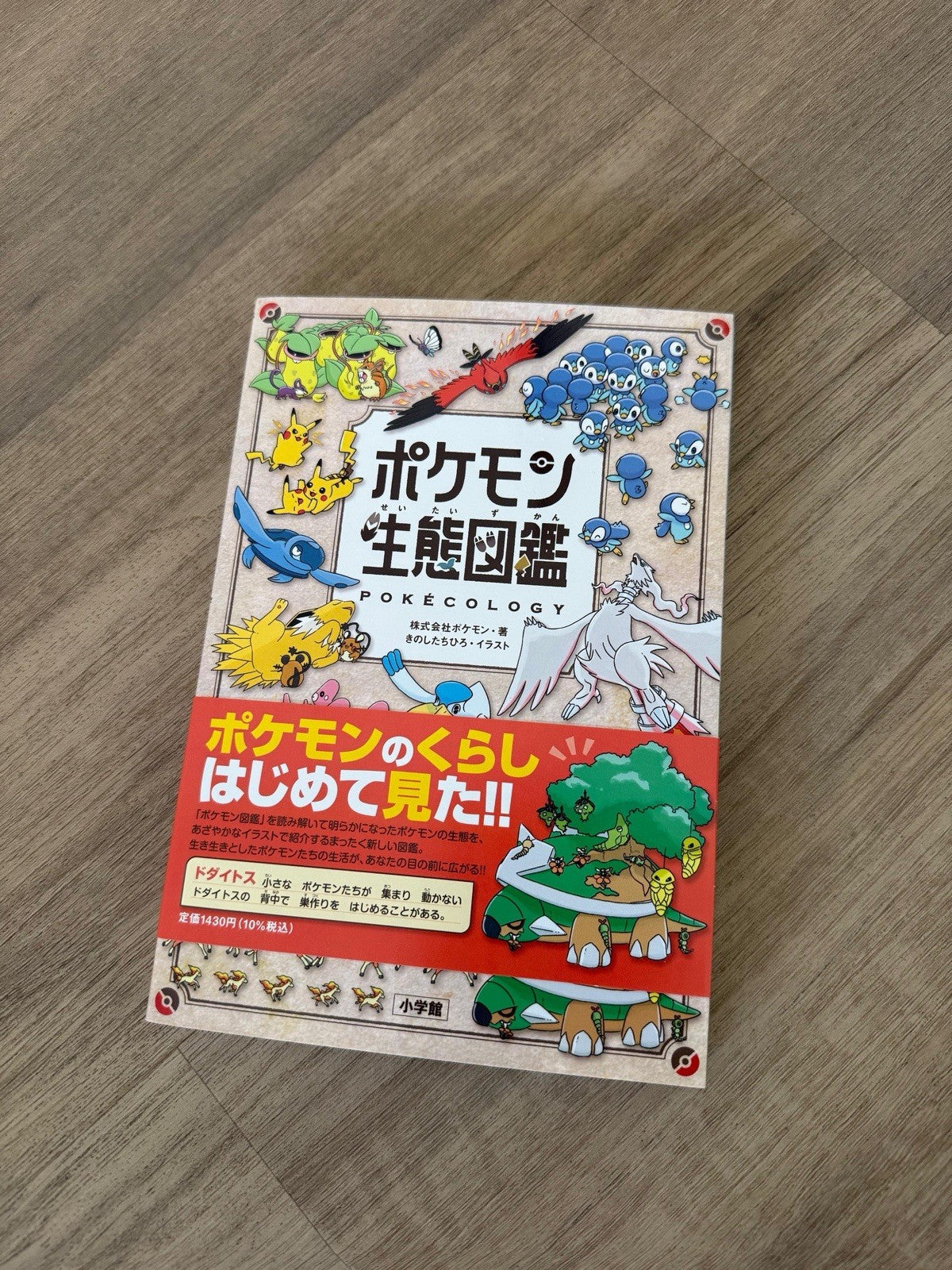 Pokecology Pokemon Ecology Encyclopedia Artbook Japanese 2025 New Japan