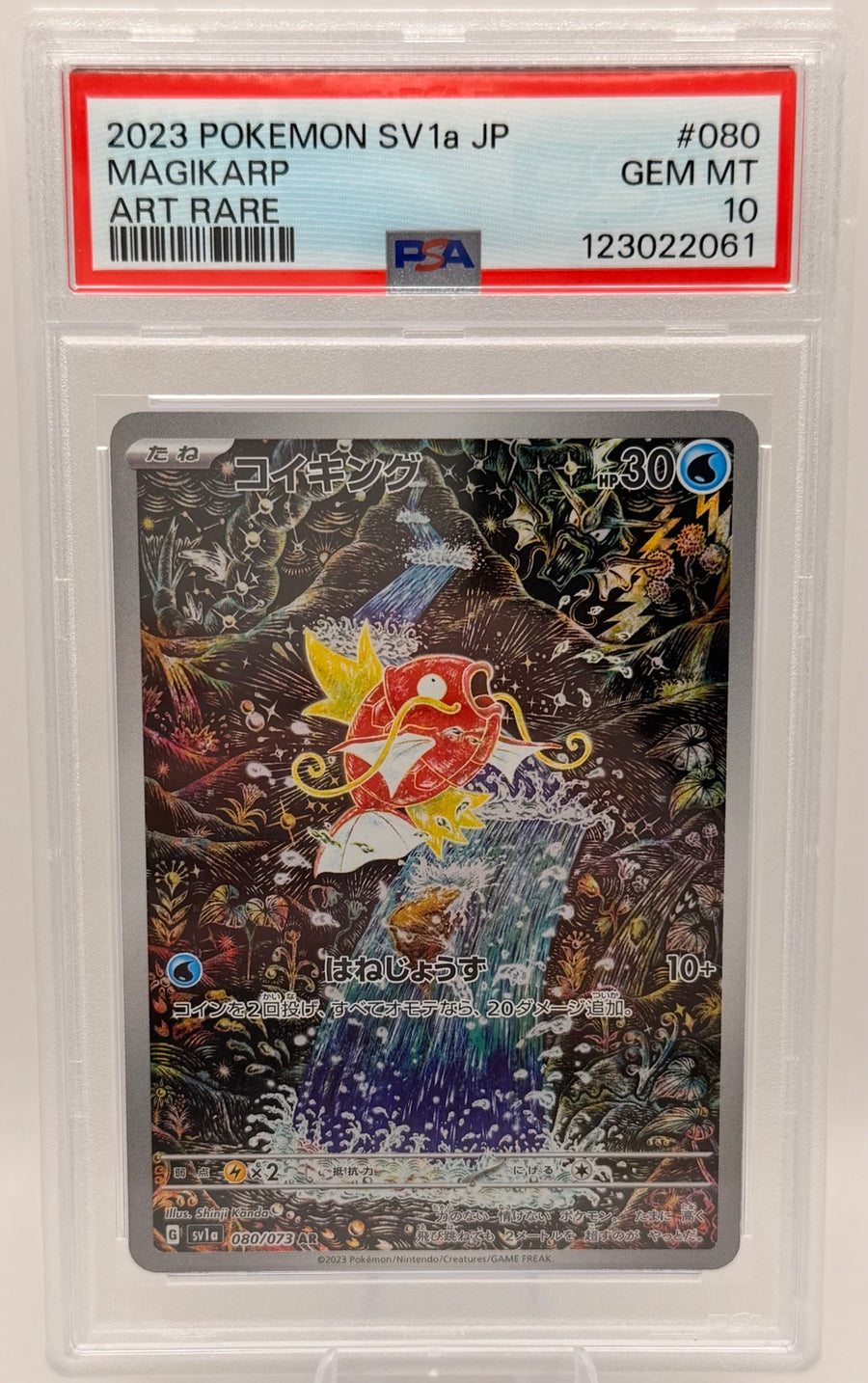 PSA 10 Japanese Magikarp art rare photographed by Lewis Collectables
